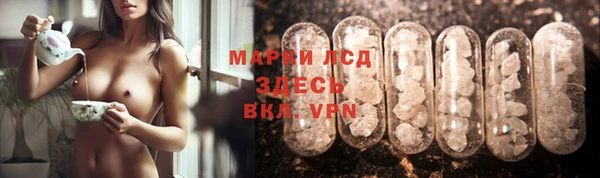 СК Михайлов