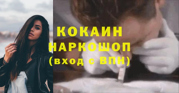 СК Михайлов